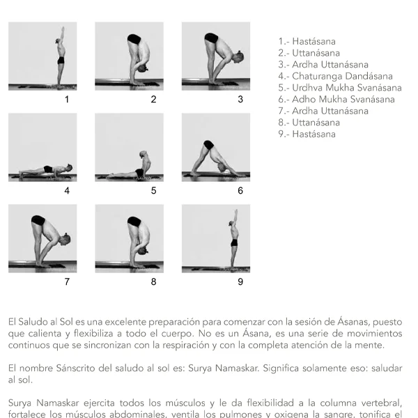 VINYASA FLOW YOGA - Manual de Formación 200h - Image 2